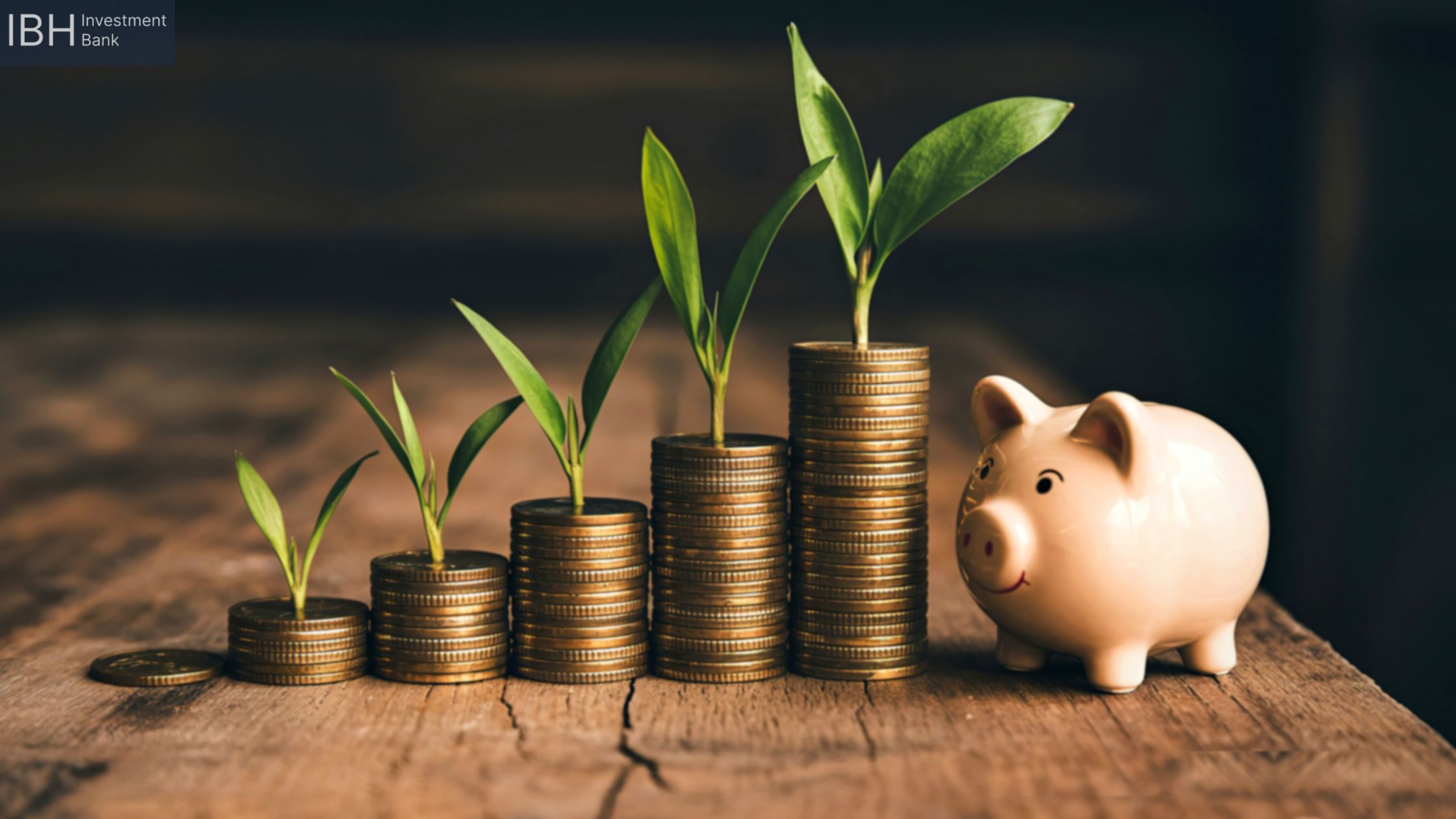 IBH Investment Bank Limited 