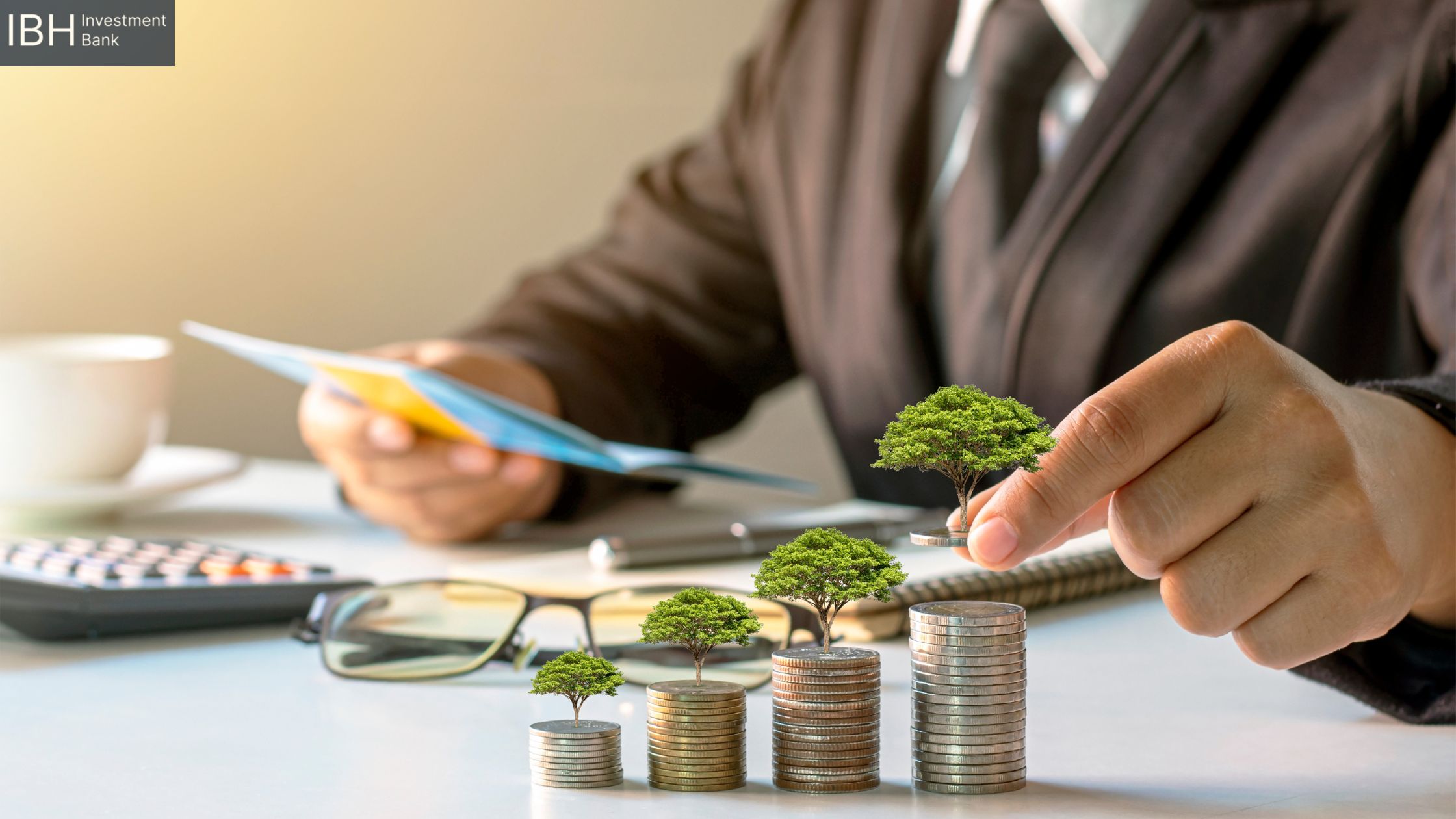 IBH Investment Bank Limited 